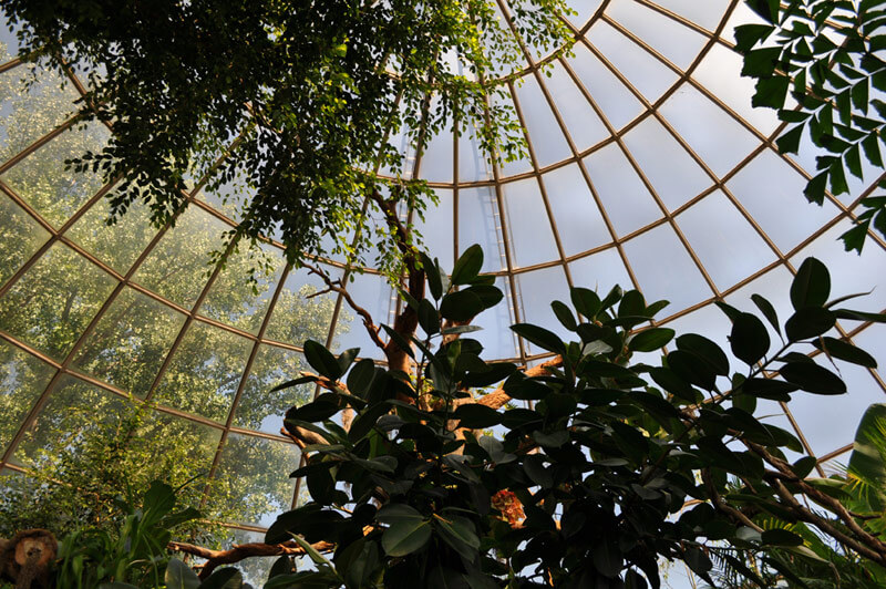 Image of the inside of the Sky Dome looking up and out of the large windows.