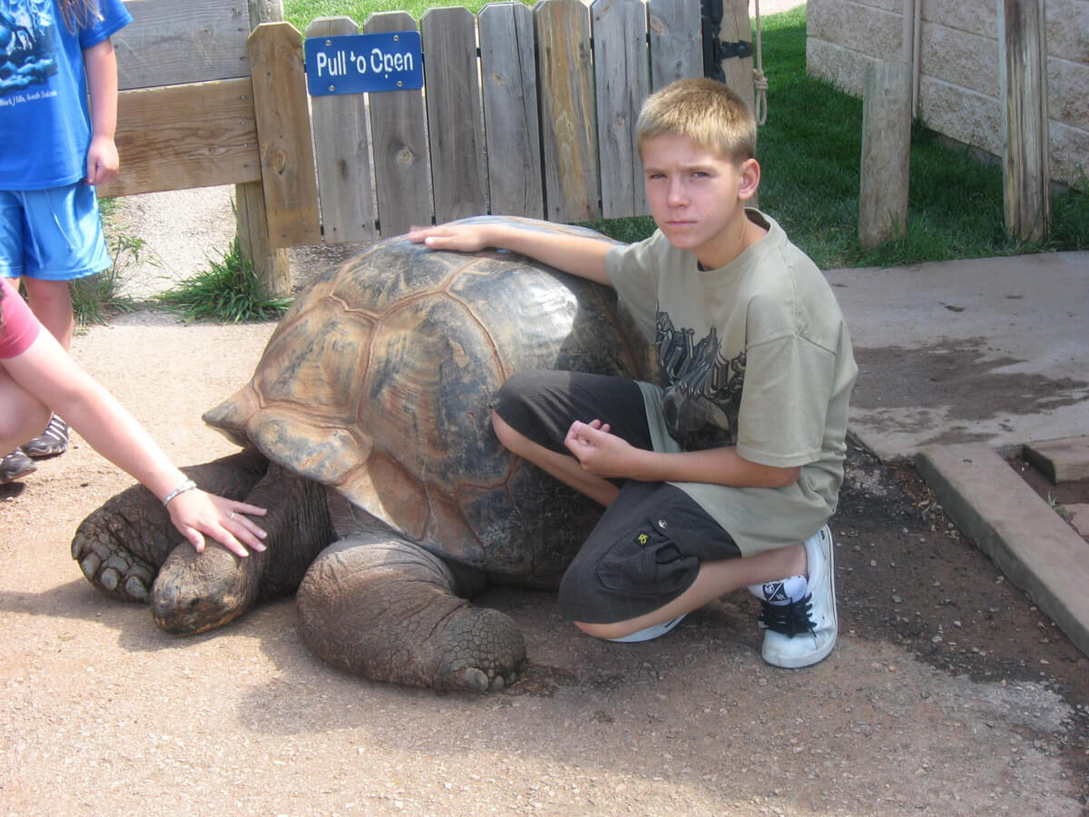 Image of a young boy kneeling next to Methuselah and feeling his shell.