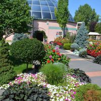 reptile-gardes-12713-1200le