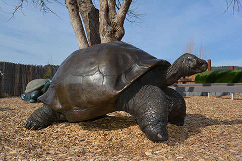 Image of the bronze cast of Methuselah at Methuselah's playground.